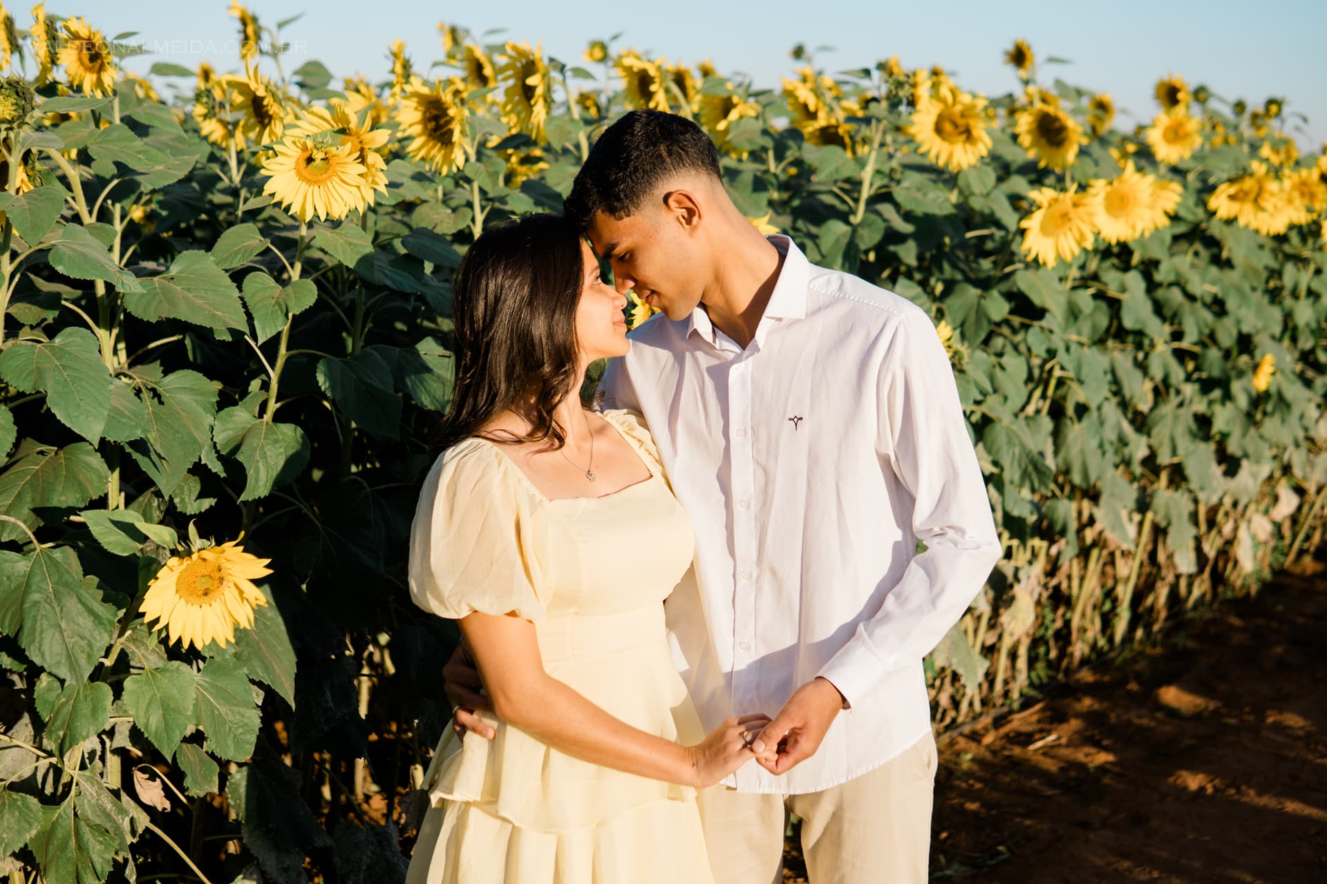 Ensaio Anna & Davi — Foto 3
