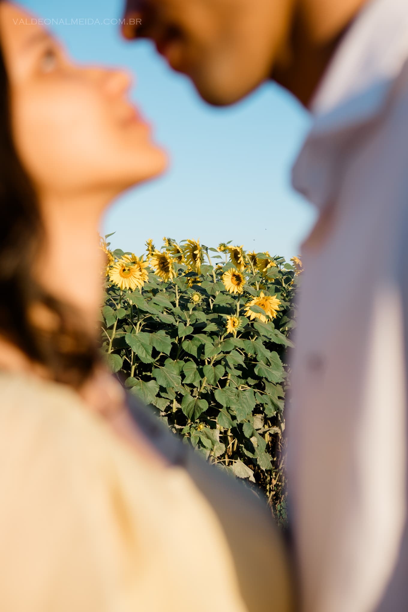 Ensaio Anna & Davi — Foto 12