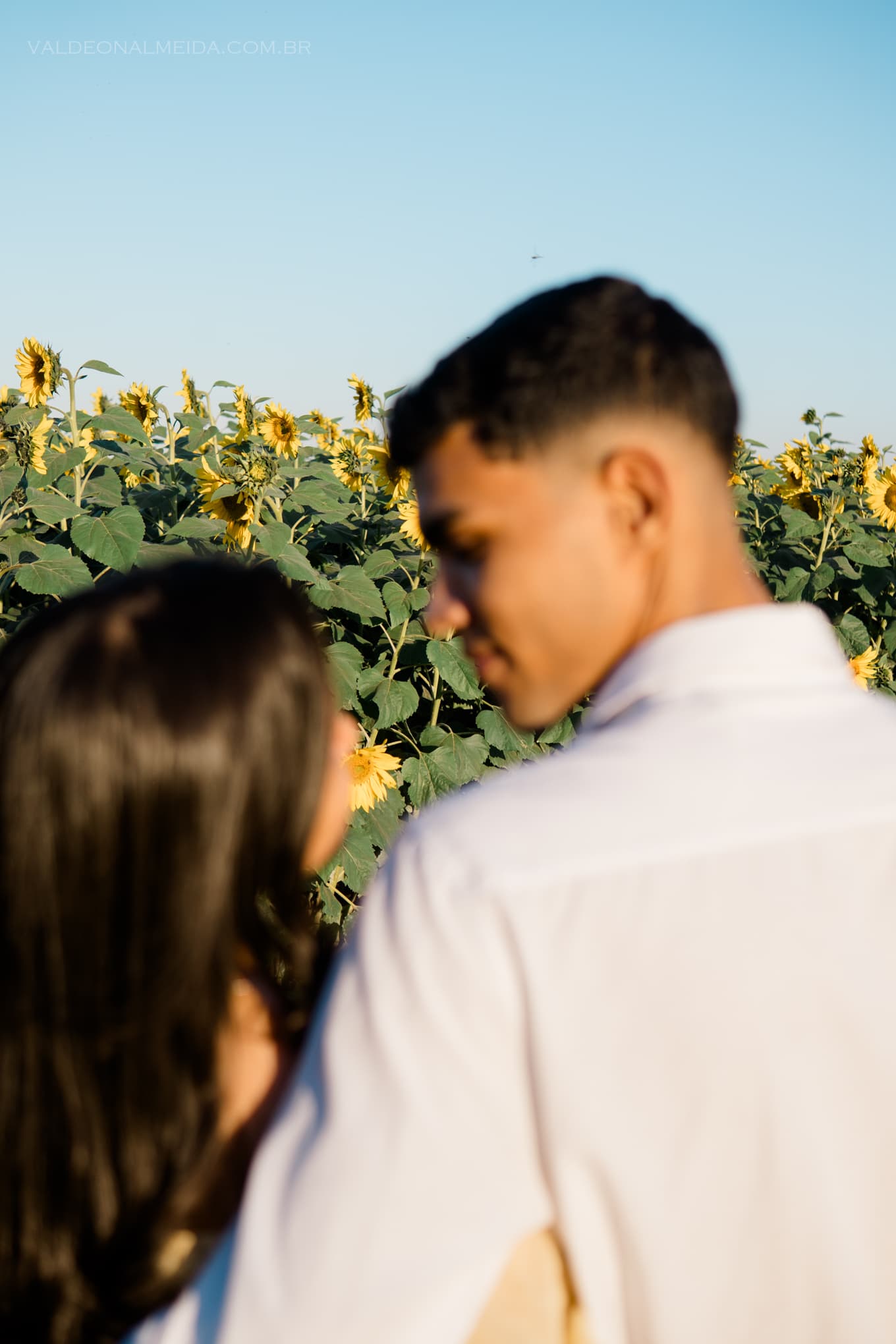 Ensaio Anna & Davi — Foto 13